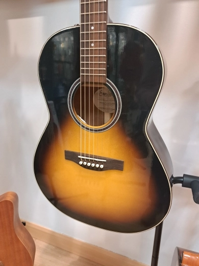 Simon and Patrick Woodland Pro Folk 2